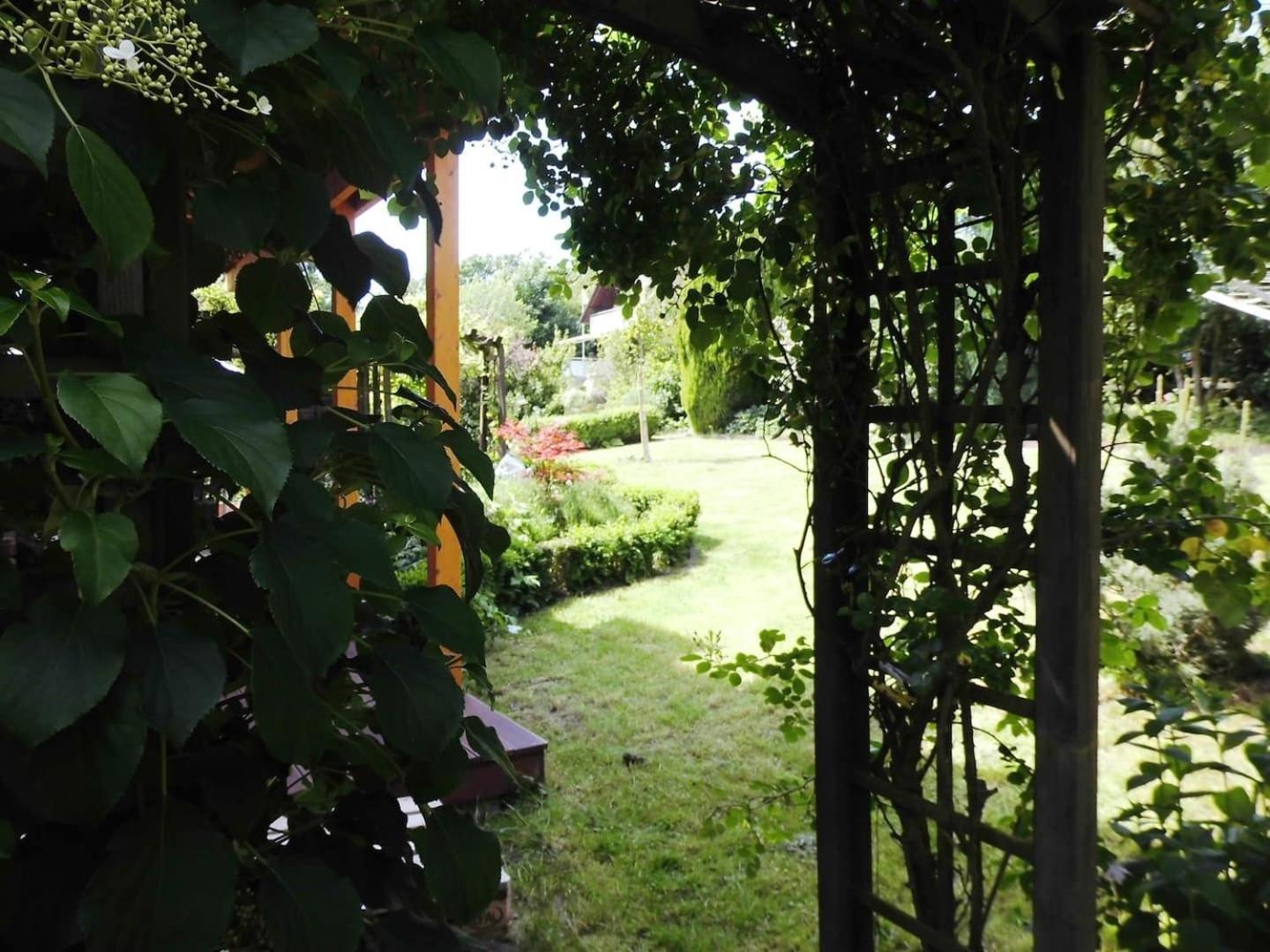 Farbenfrohe Ferienwohnung Detmold Bagian luar foto