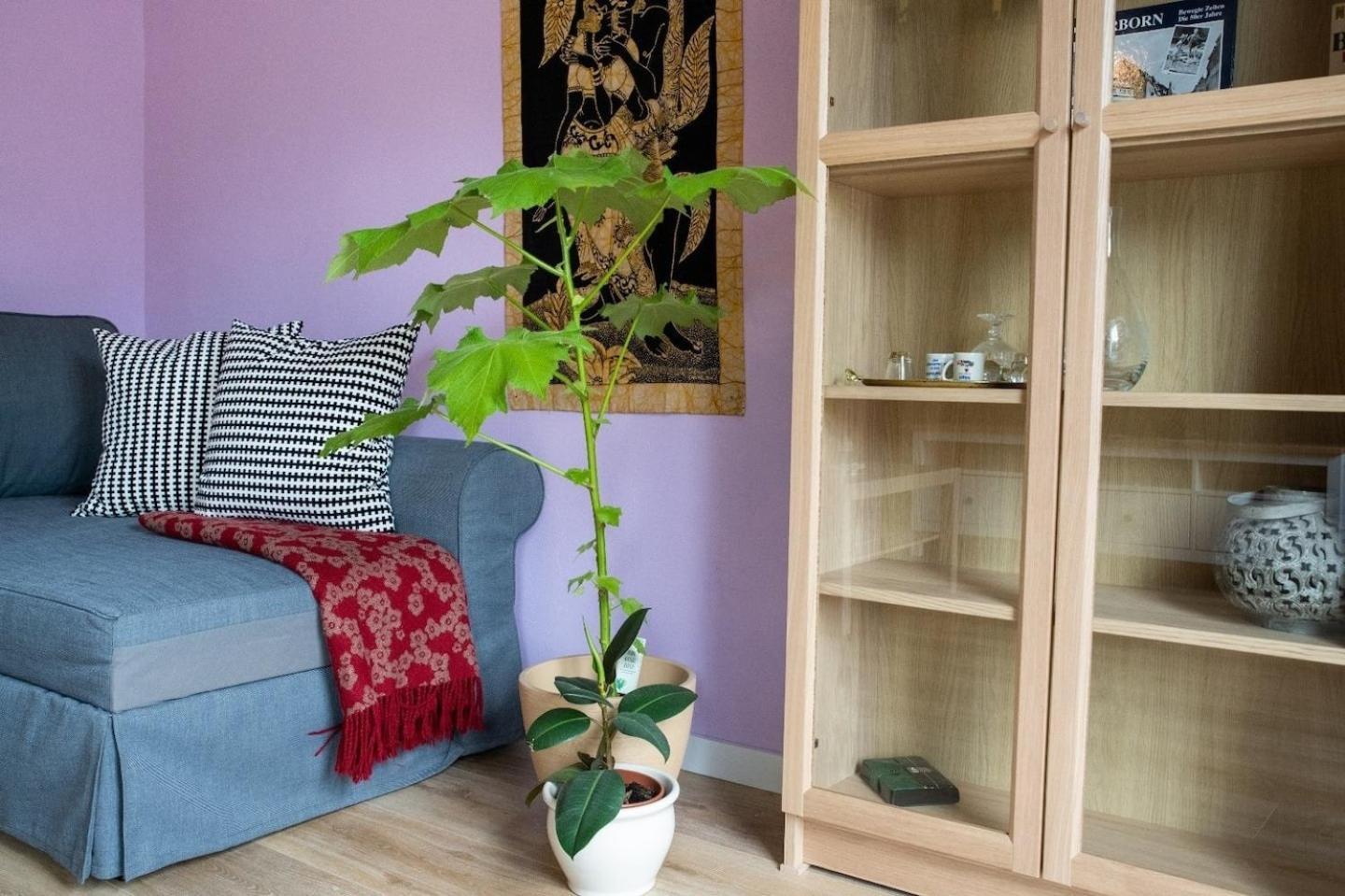 Farbenfrohe Ferienwohnung Detmold Bagian luar foto